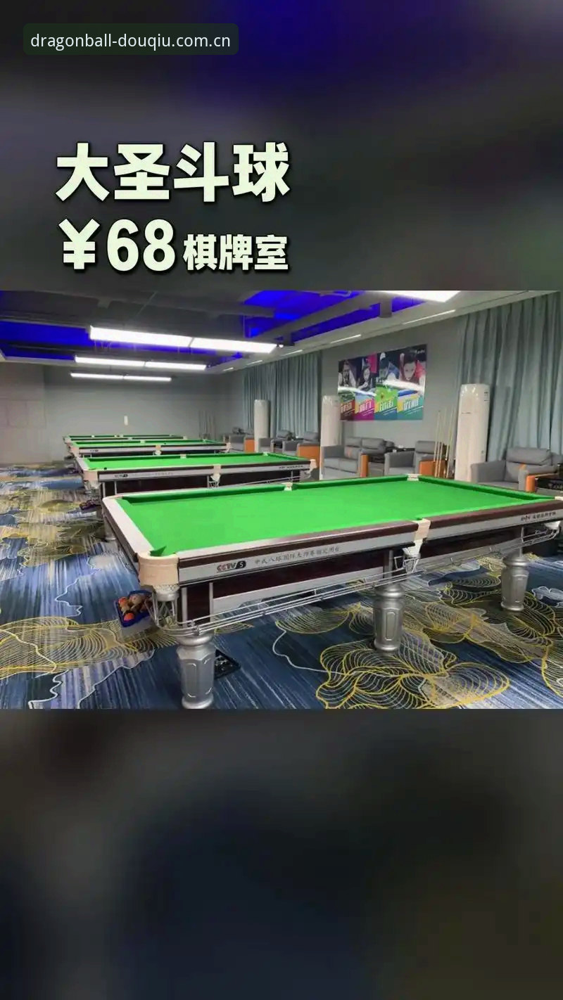 斗球体育平台2026新版数据深度评测：从闪退修复到解析精度跃升的全面体验报告